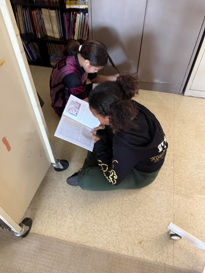 Partner Reading