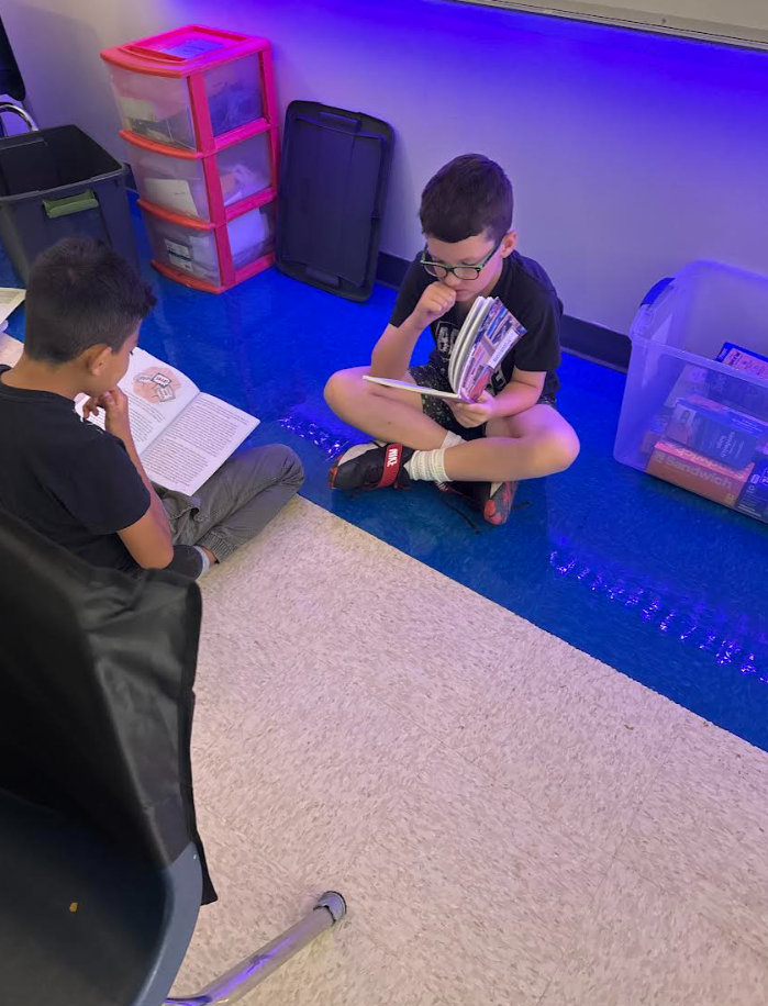 Partner Reading
