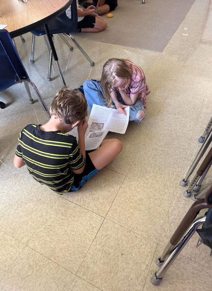 Partner Reading