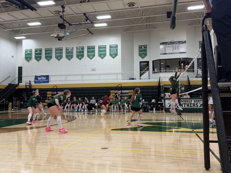 Volleyball game