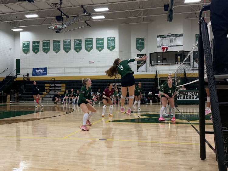 volleyball game