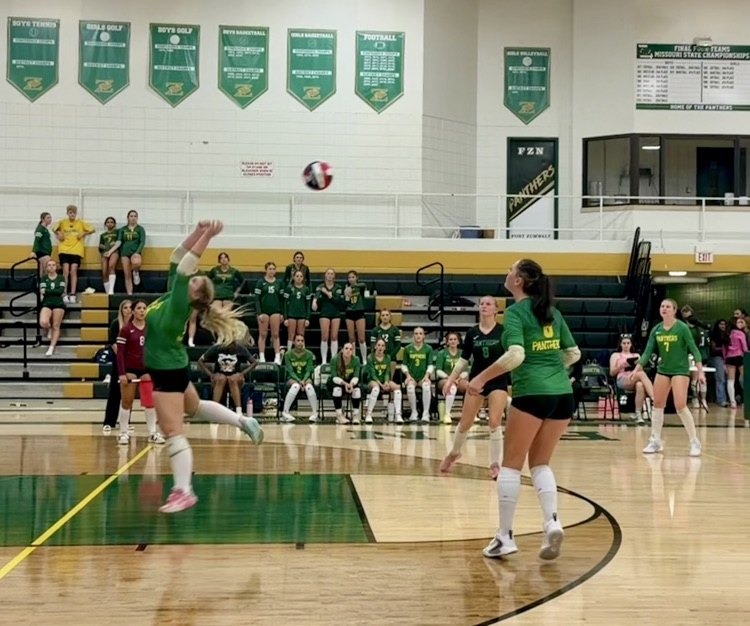 volleyball game