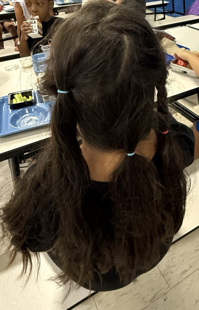 pony tail hair 