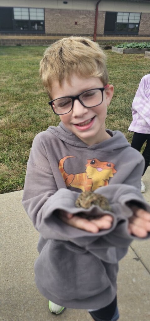 frog 