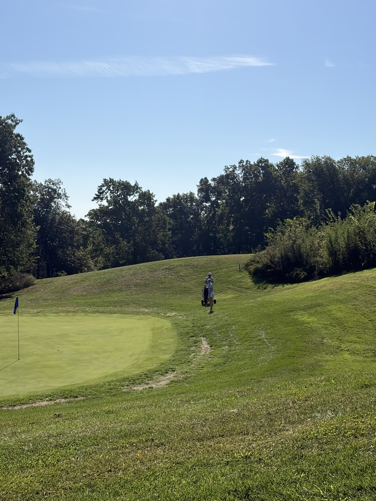 Brooklyn chip onto the green