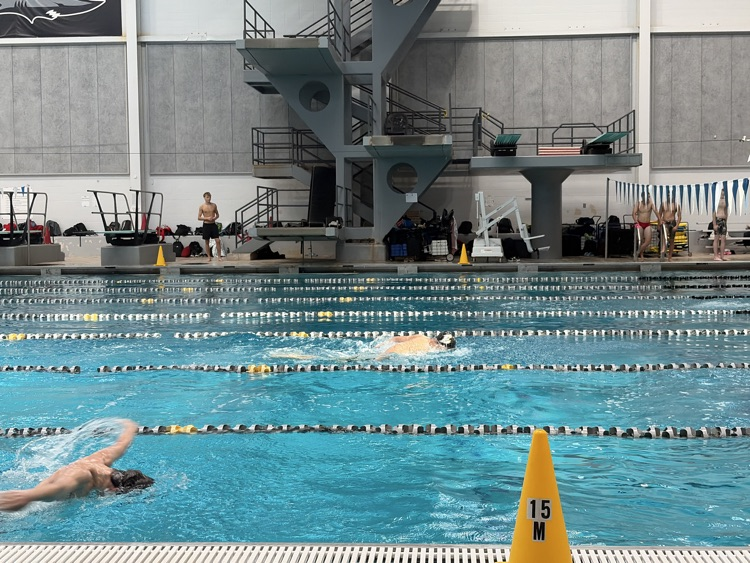 Lion swimmer competing in 4x50 fly