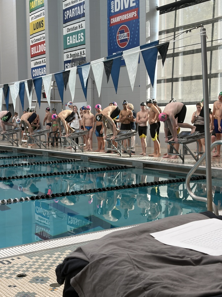 Our Lion jumping off the block