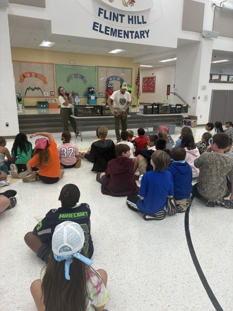 Reptile Show 