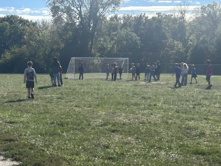 soccer goals