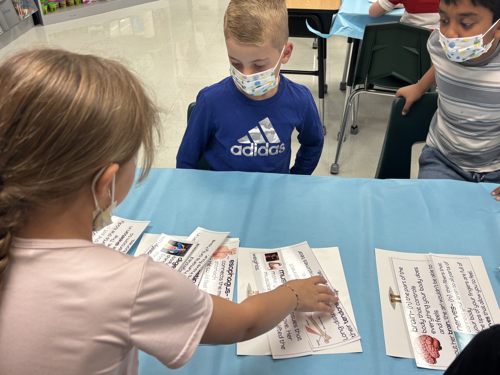Vocabulary work