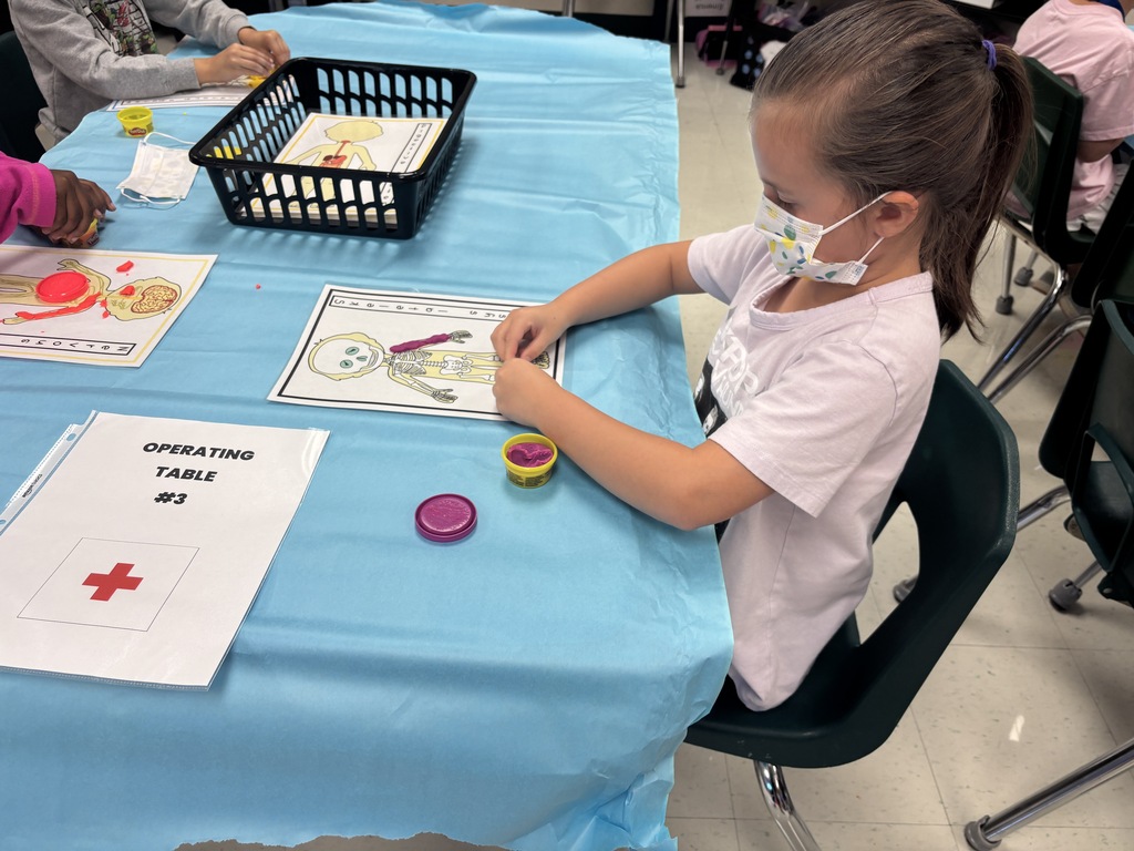 Body systems out of play-doh