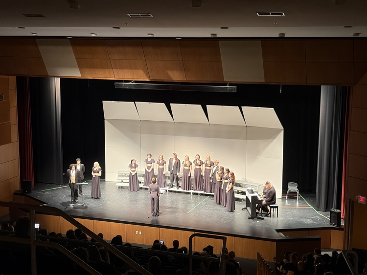 Mixed chamber choir introducing their songs