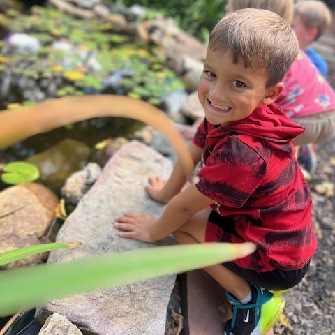 Kindergartener explores the lifecycle in the outdoor classroom pond