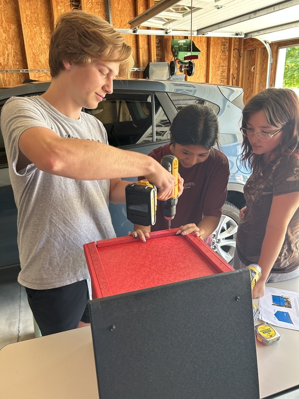 Our Lions building the little library