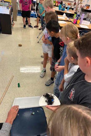 2nd Grade CKLA