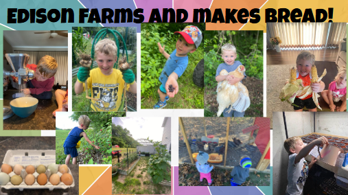 Farming and Making Bread