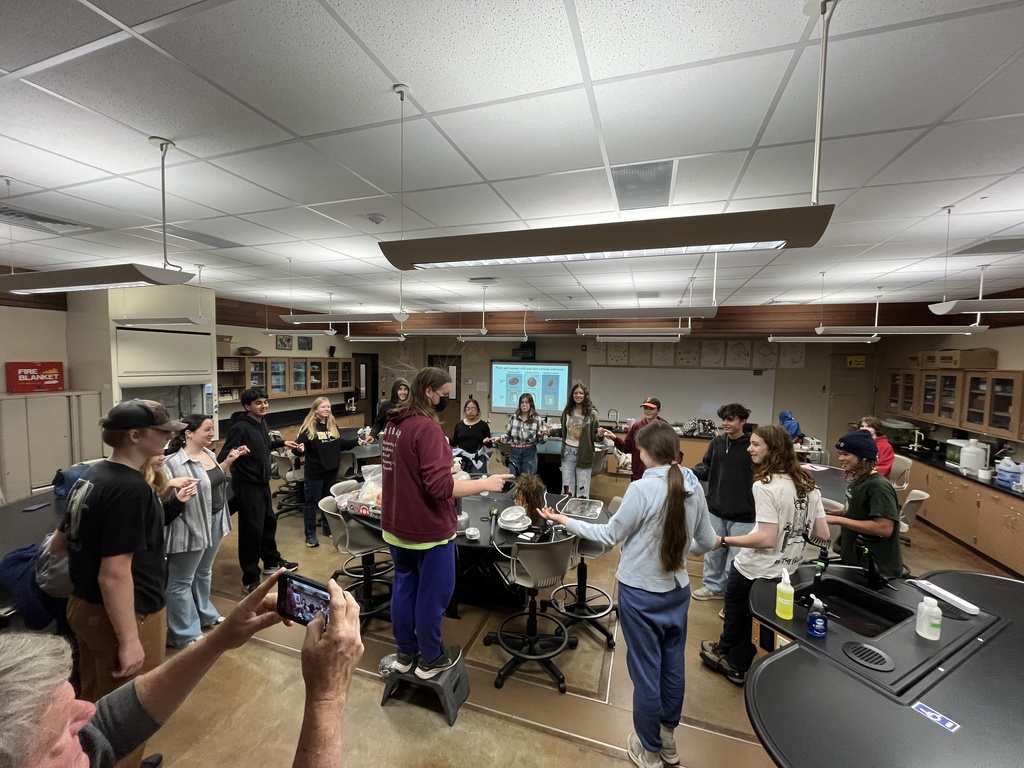 Van de Graaff generator experiments