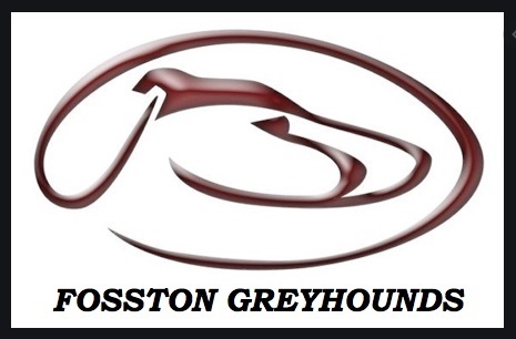 Fosston Logo