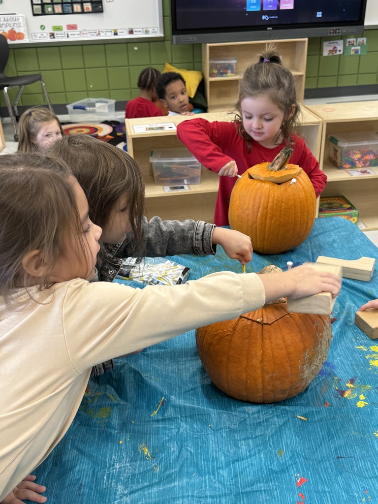 Ms. Caudill's PK Class - pumpkin exploration