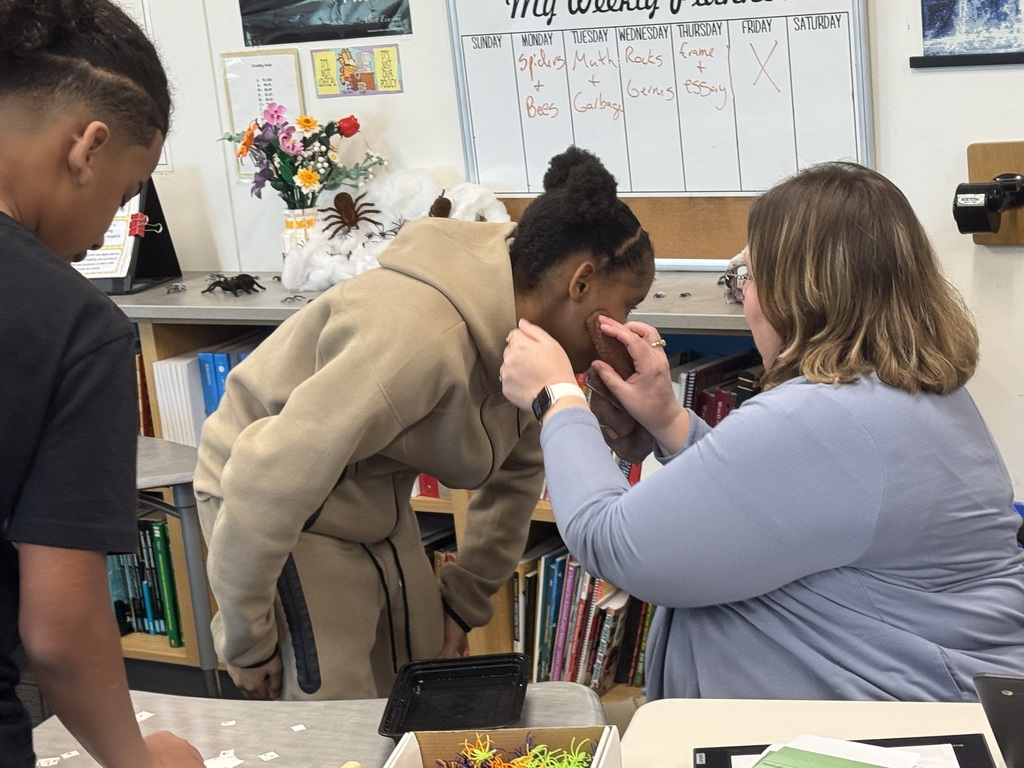 Staff Experts working in stations