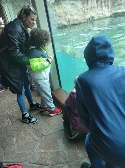 Ms. Jacoby's class at the zoo