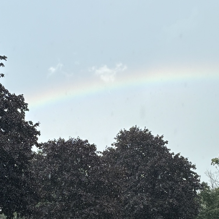 rainbow picture