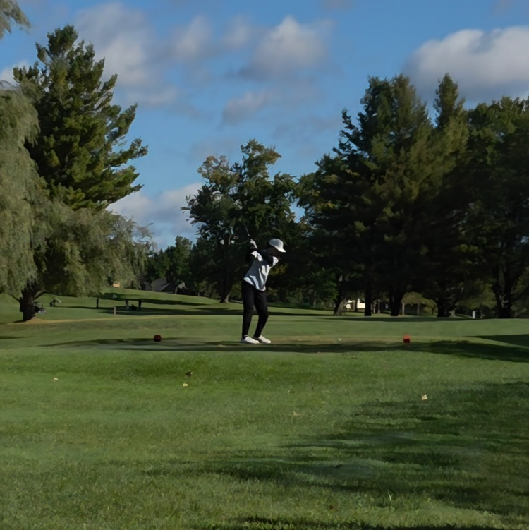 picture of golfer