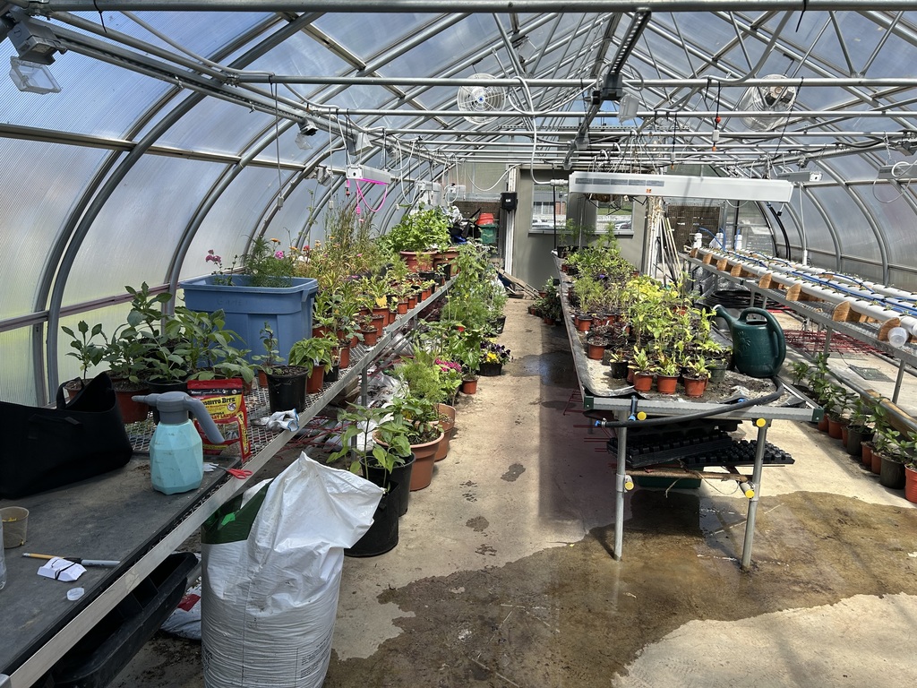 Greenhouse 