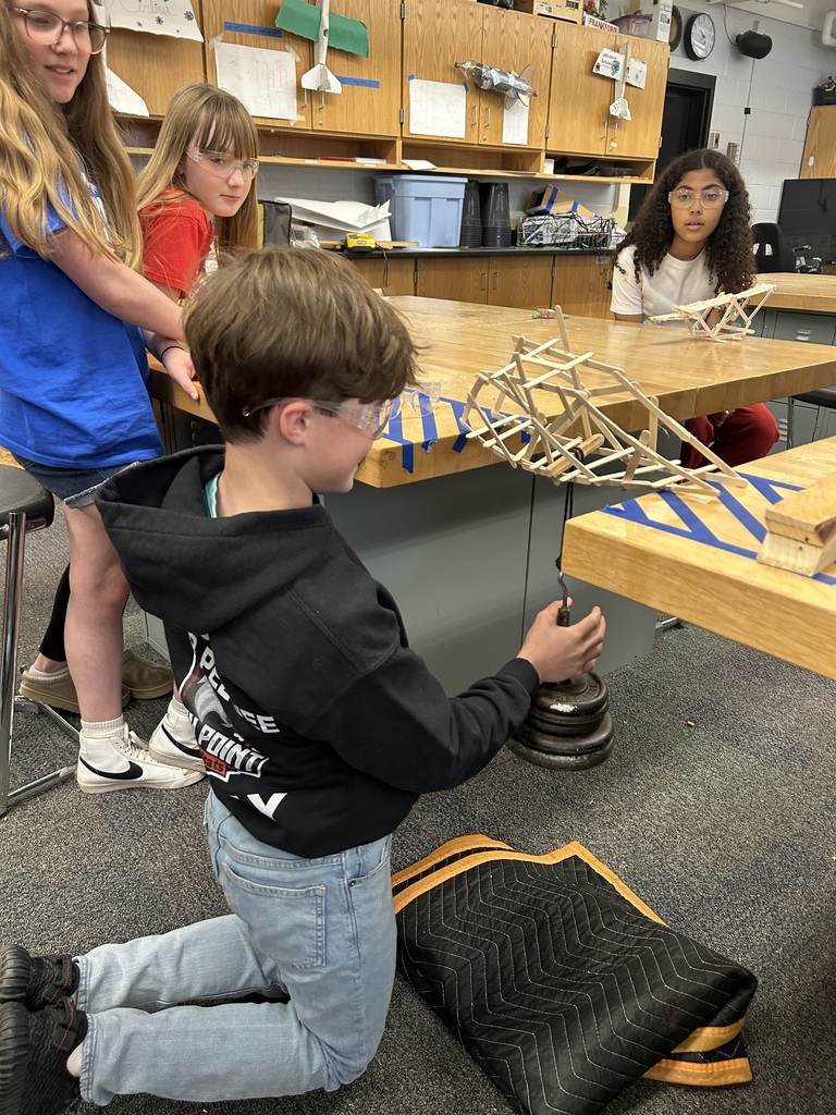 Bridge Testing 