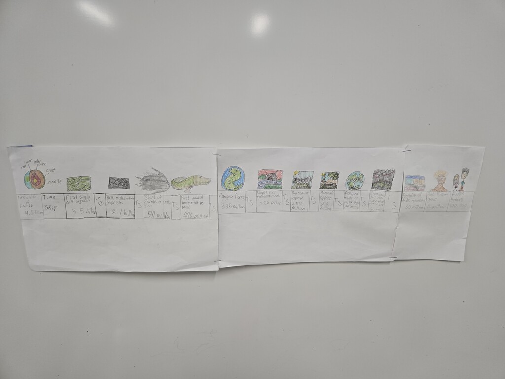 timeline