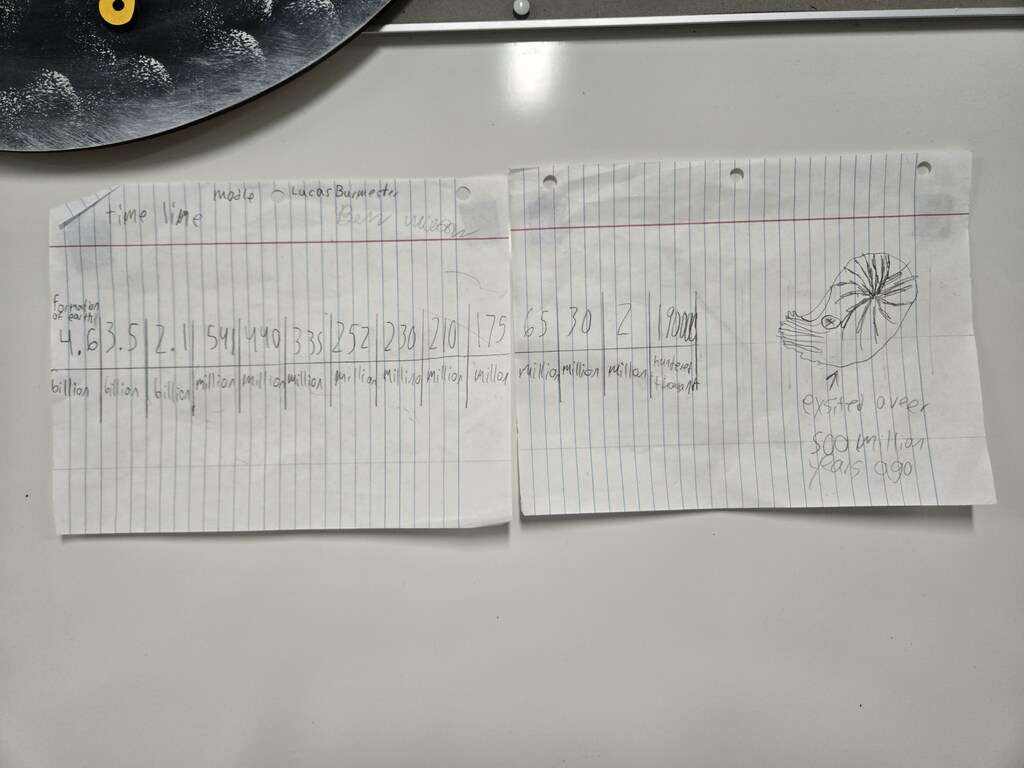 timeline