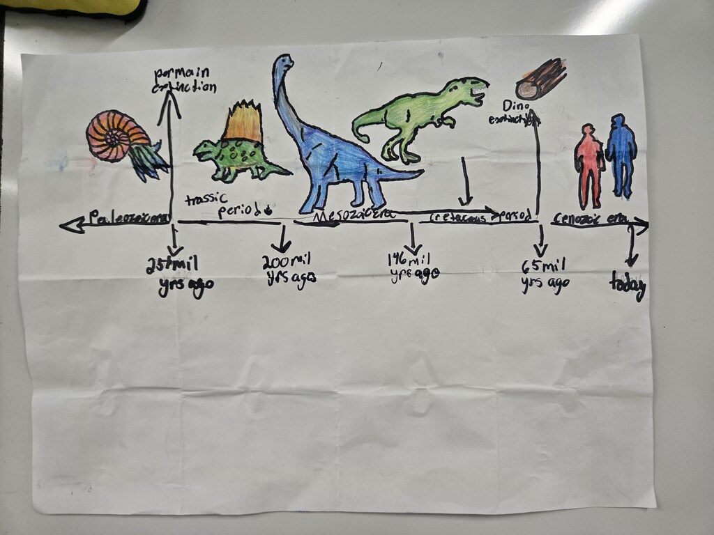 timeline