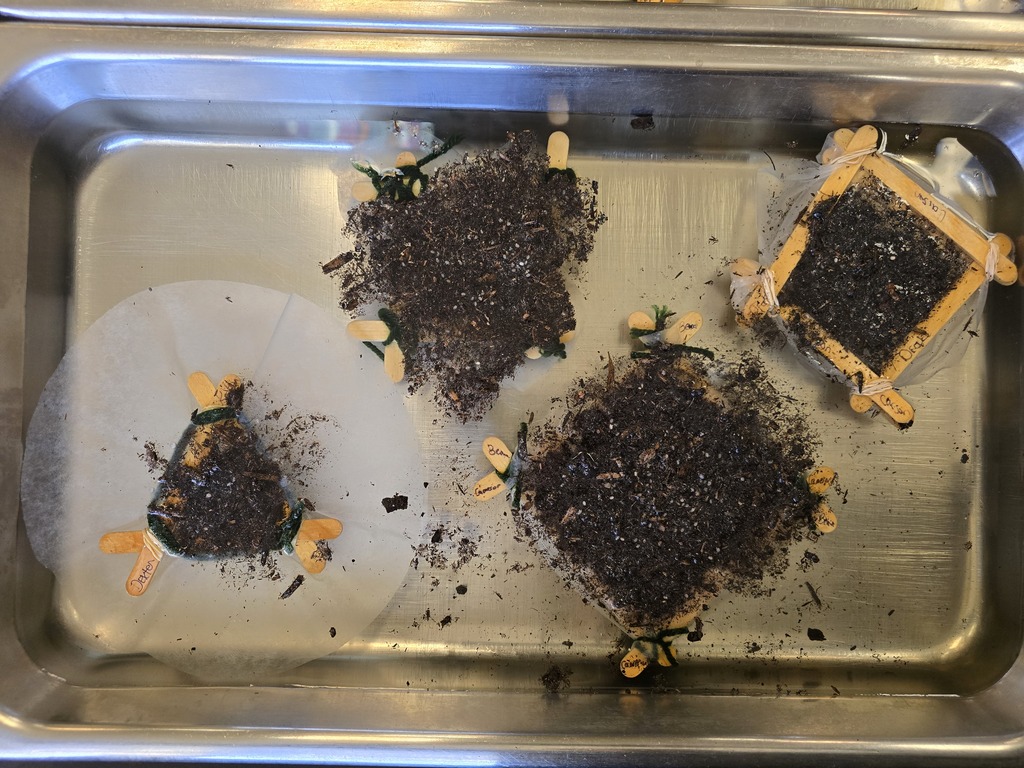 Chinampa floating gardens