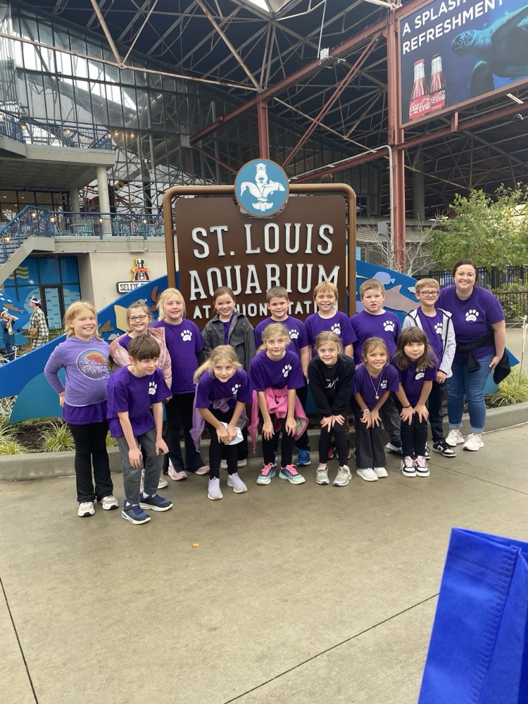 3rd grade STL Aquarium 