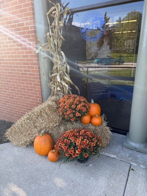 hay bales, cornstalk, pumpkins, mums, in front of a business.