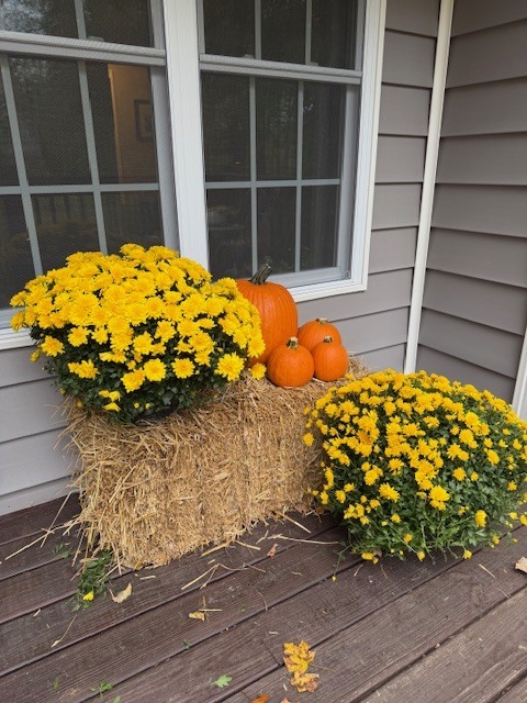 mums and a pumpkin and a hay bail on the porch