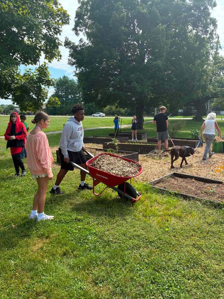 Several students work in the garden. One student is pushing a wheelbarrow.