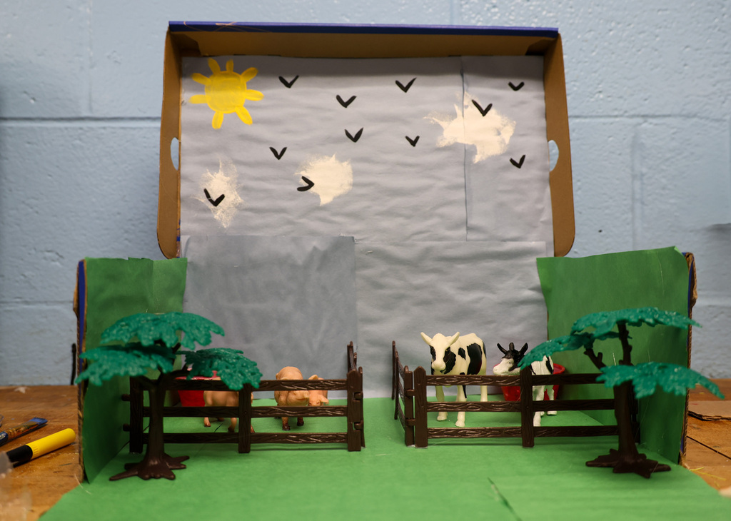 Shoe box project