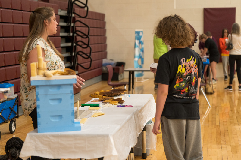 Students view a bee hive