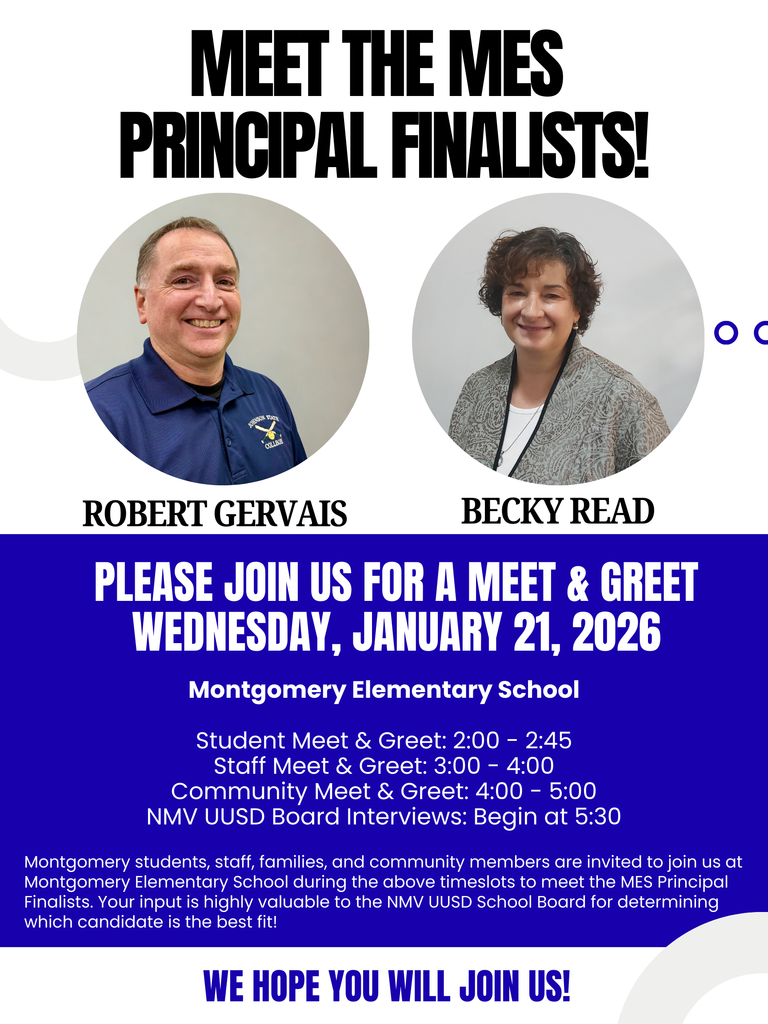 MES principal finalists