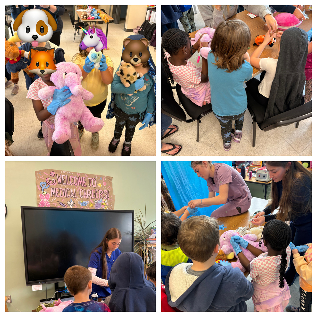 Teddy Bear Clinic senior project