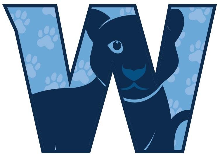 WS