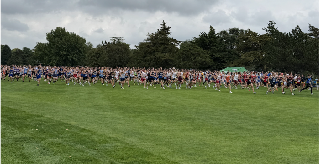 XC