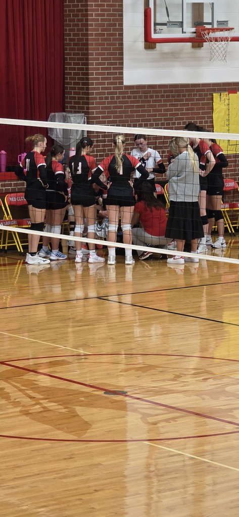 lady flyers