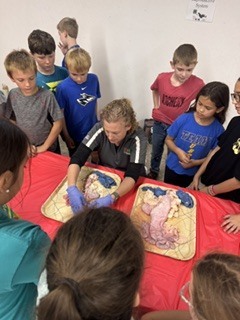Picture of our 4th grade students at Animals Inside Out - 7