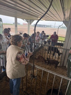 Picture of our 4th grade students at Animals Inside Out - 1