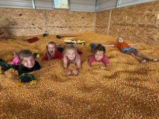 Students playing in the corn pile. 
