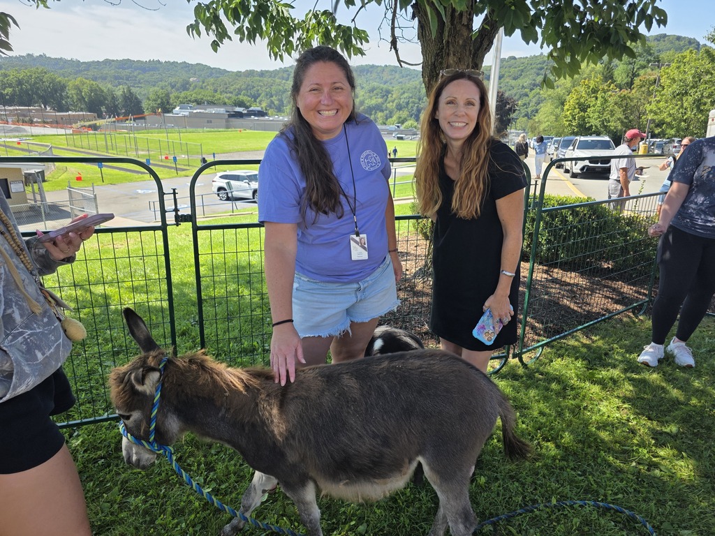 Three women stand outside near a fence with a donkey. Two women touch the donkey. A distant building, cars, and trees are in the background.