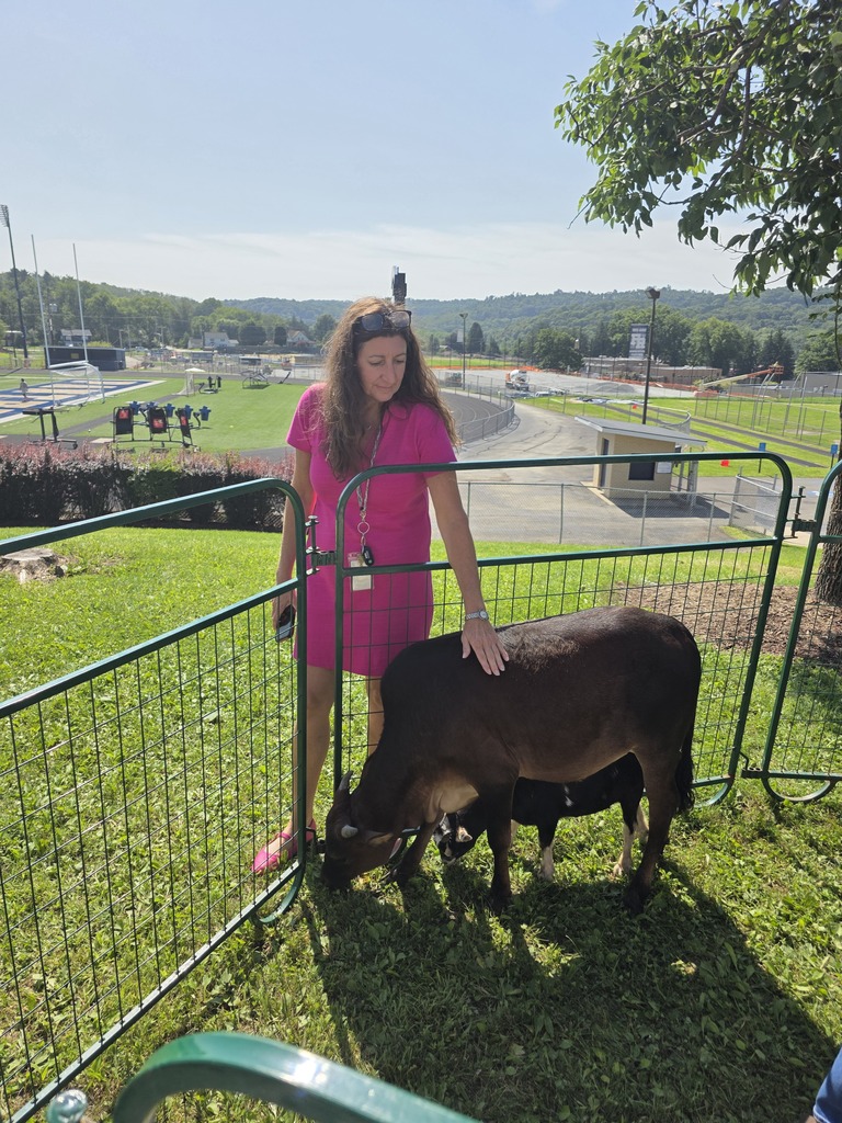 Woman in pink dress pets goat through a metal fence. Trees and a building in the background.