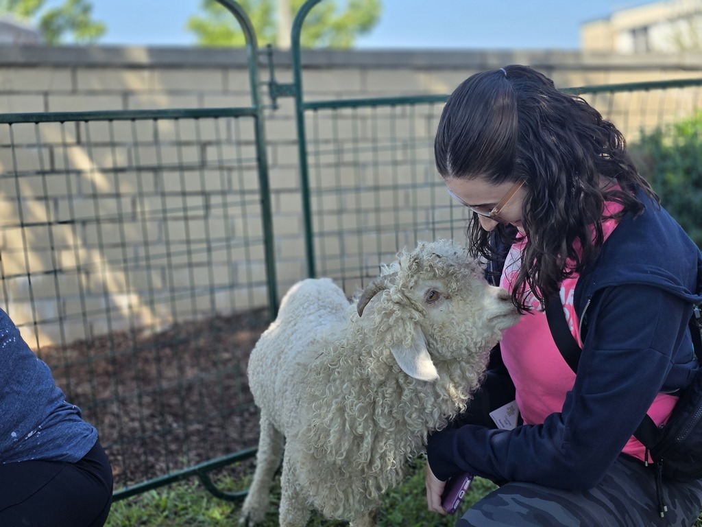 Woman with glasses hugs a white lamb. Behind them, a green fence is in front of a building.